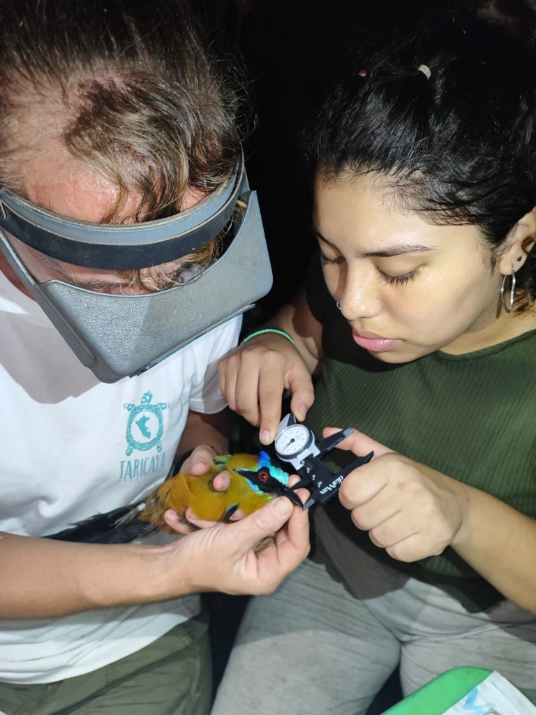 María Fernanda evaluando un ejemplar de avifauna durante su voluntariado en la selva de Puerto Maldonado